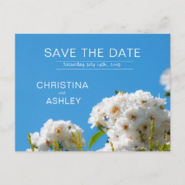 Rosenblume Ankündigungspostkarte