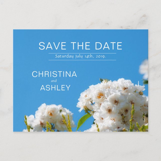 Rosenblume Ankündigungspostkarte (Vorderseite)