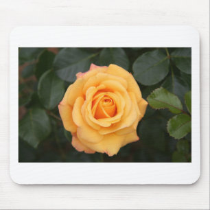 Rosenblumen Blumen Liebe Ehefrau Schatz Paar Mousepad