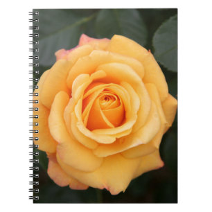 Rosenblumen Blumen Liebe Ehefrau Schatz Paar Notizblock