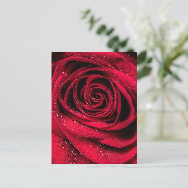 Rosenblüten 1 postkarte (Stehend Vorderseite)