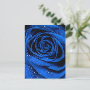 Rosenblüten 3 postkarte
