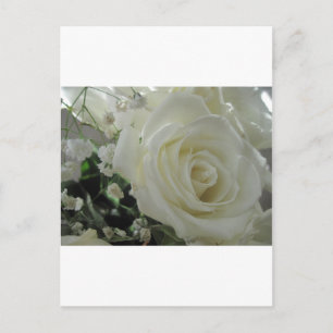 Rosenblüten Postkarte
