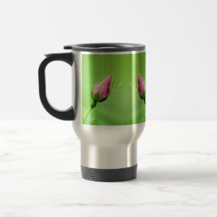 Rosenbud Blütenblättrige Foto Insulinierte Tasse