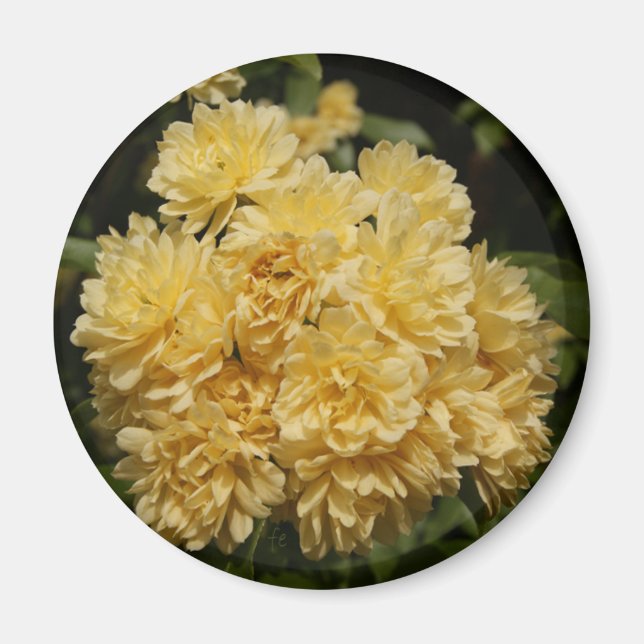 Rosenbukett Magnet (Vorne)