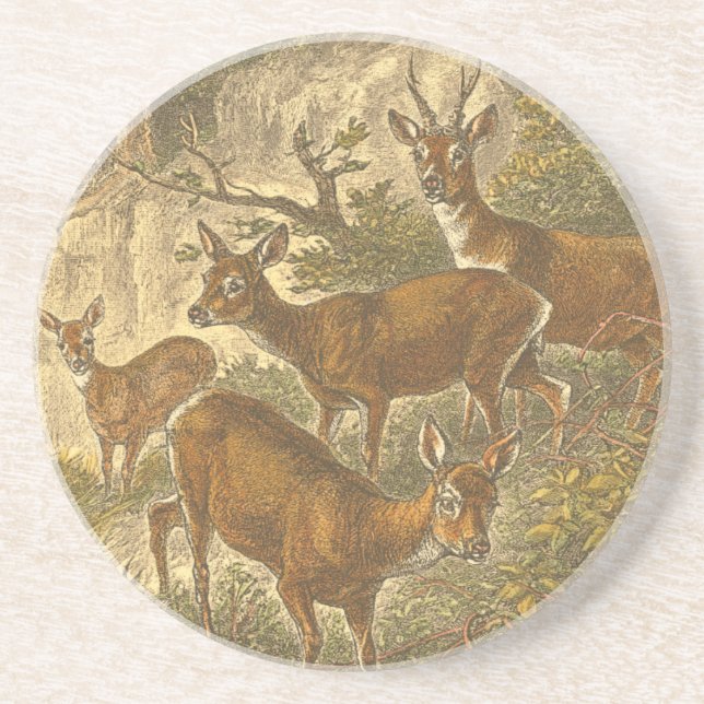 Rosenfamilie - Hirsche im Wald Getränkeuntersetzer (Vorne)