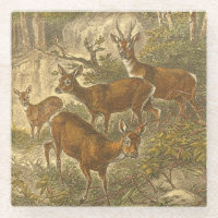 Rosenfamilie - Hirsche im Wald