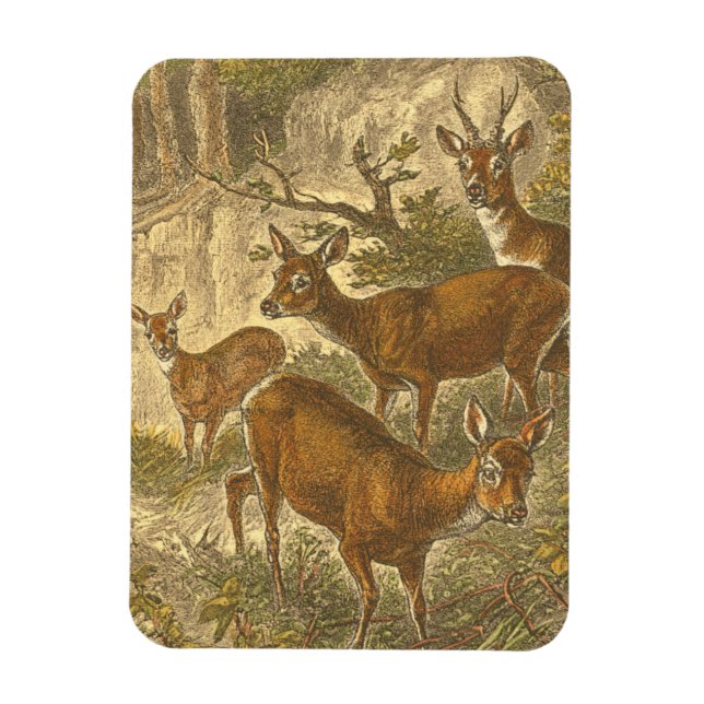 Rosenfamilie - Hirsche im Wald Magnet (Vertikal)