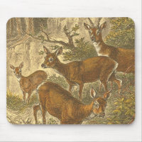 Rosenfamilie - Hirsche im Wald