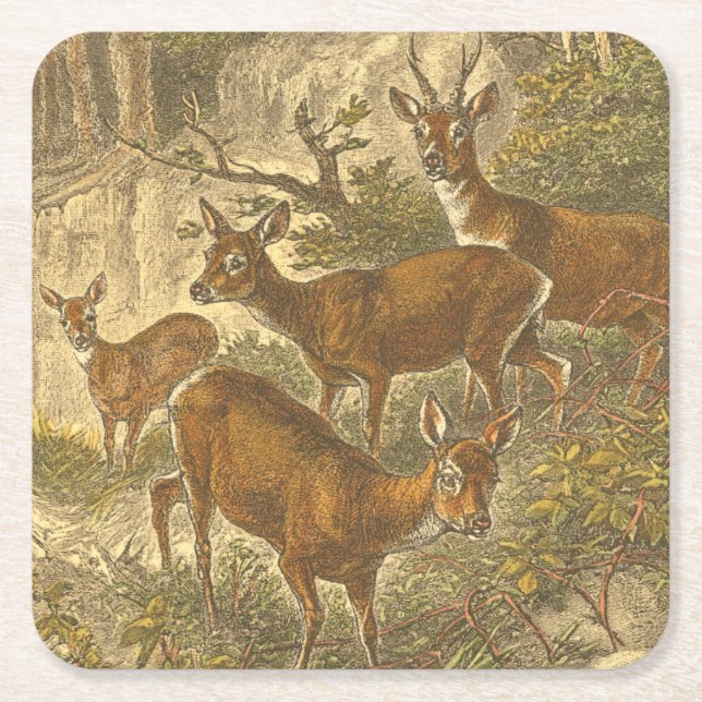 Rosenfamilie - Hirsche im Wald Rechteckiger Pappuntersetzer (Vorderseite)