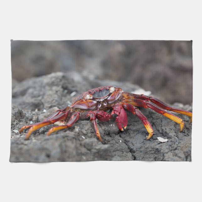 Rosengarbe Geschirrtuch (Horizontal)