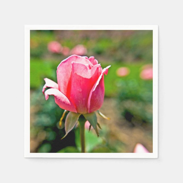 Rosengarten Serviette (Vorderseite)
