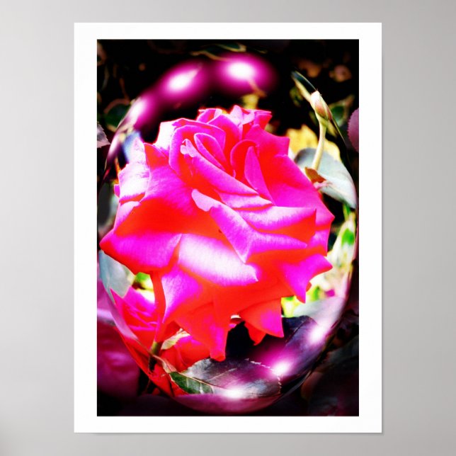 Rosengeister Poster (Vorne)
