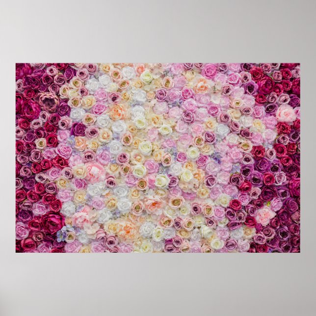 Rosenhintergrund Poster (Vorne)