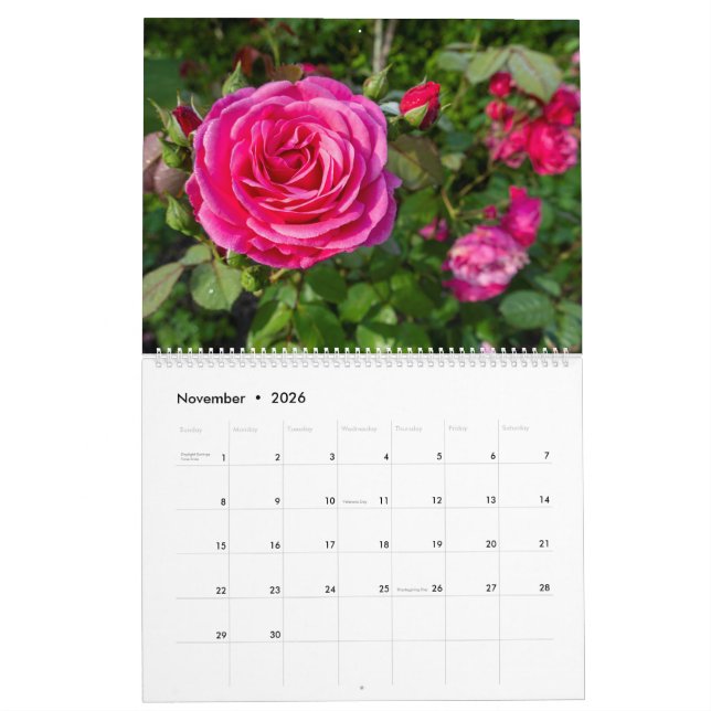 Rosenkalender Kalender (Nov 2026)