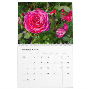 Rosenkalender Kalender