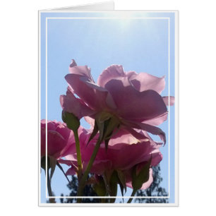 Rosenkarte, freier Raum, 7