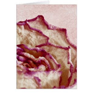 Rosenkarte, getrocknet