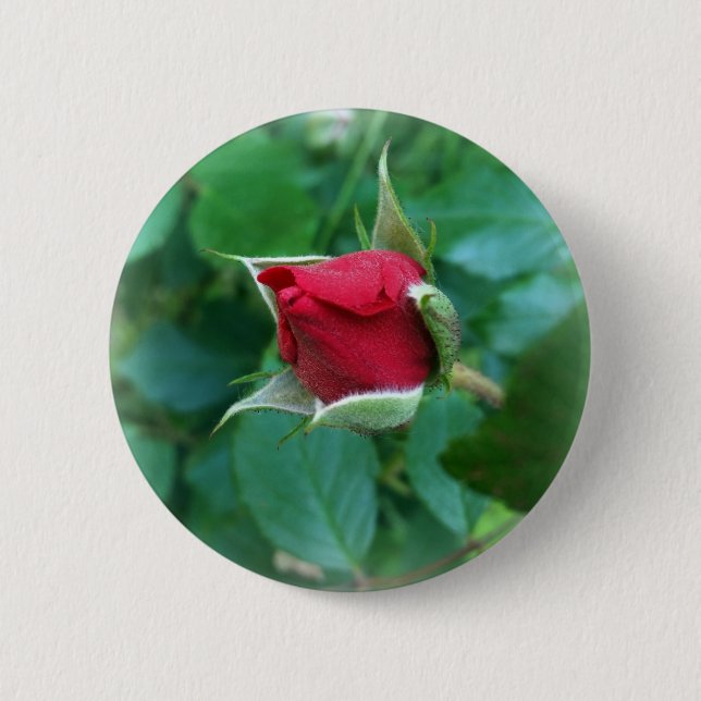 Rosenknospe Button (Vorderseite)