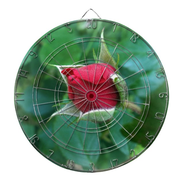 Rosenknospe Dartscheibe (vorne)
