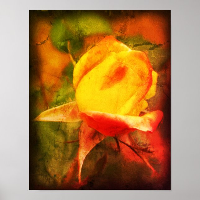 Rosenknospe Floral Art Foto Malerei erschüttert Poster (Vorne)