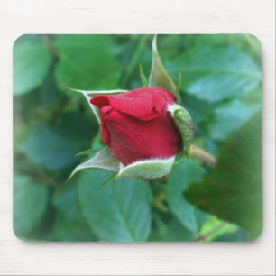 Rosenknospe Mousepad