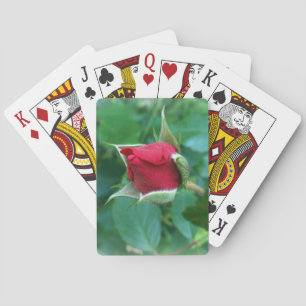 Rosenknospe Spielkarten