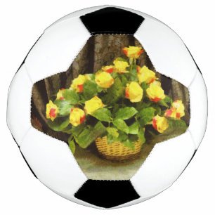 Rosenkörbe Fußball