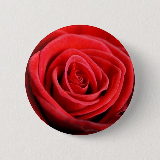Rosennahaufnahme-Knopf-Abzeichen Button (Vorderseite)