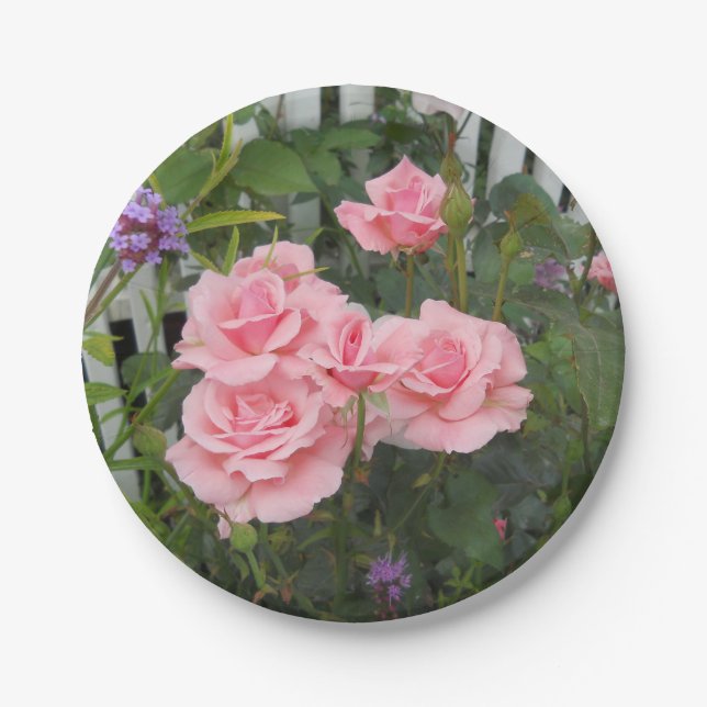 Rosenpapier-Platte Pappteller (Vorderseite)