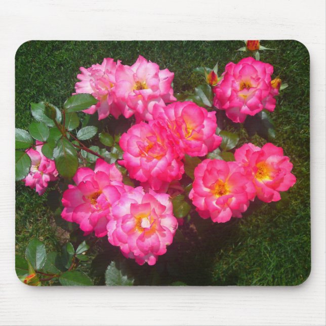 Rosenpflaster-Blume Mousepad (Vorne)