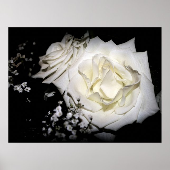 Rosenprint Poster (Vorne)