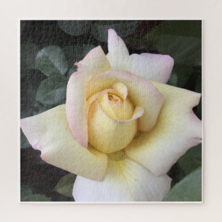 Rosenpuzzle