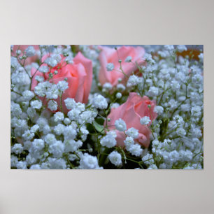 Rosenrosen-Foto Poster