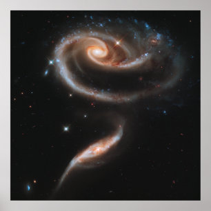 Rosenspiralgalaxien Poster