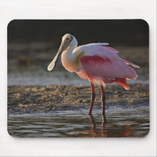 Rosensprecher, Ajaia ajaja, Ding Darling Mousepad