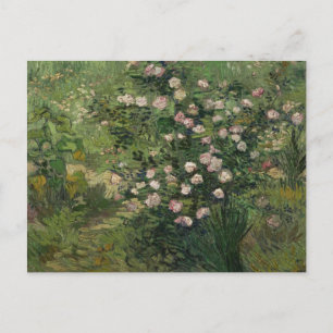 Rosenstrauch in Blüte, Van Gogh Fine Art Postkarte