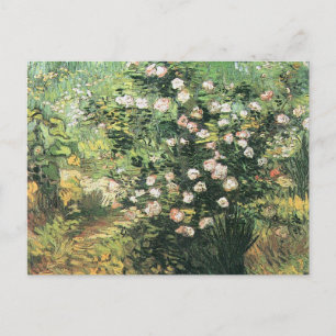 Rosenstrauch in Blüte von Vincent van Gogh Postkarte