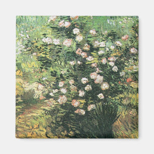 Rosenstrauch in Blüten von Vincent van Gogh Magnet