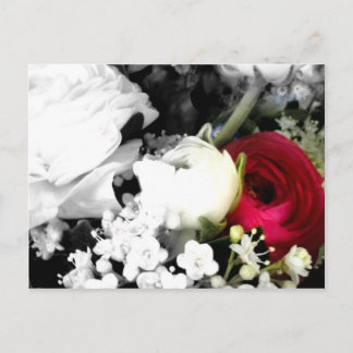 Rosenweissundrot Postkarte