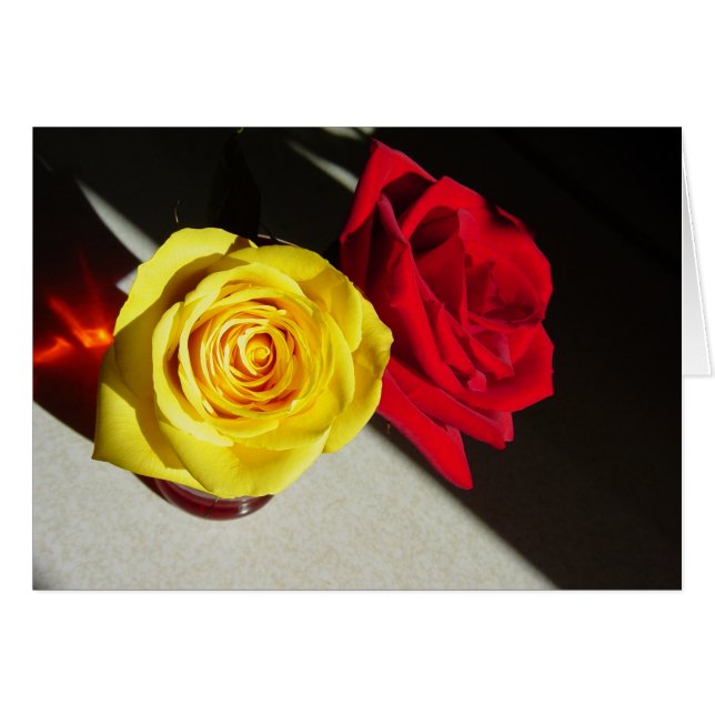 Roses (Devant Horizontal)