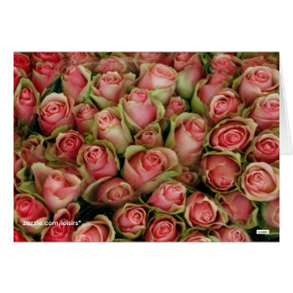 Roses