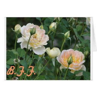 Roses B.F.F.