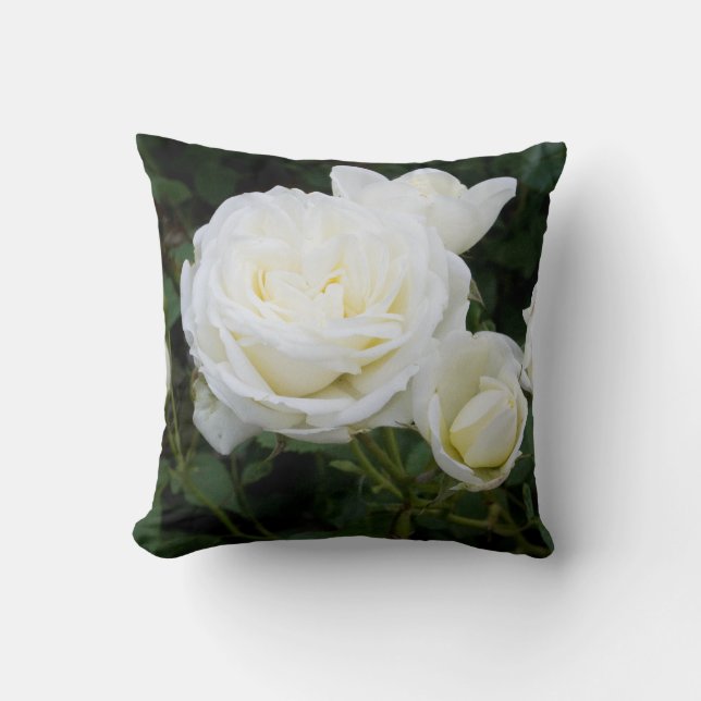 Roses blanches Photo Coussin Nature Amateurs Garde (Recto)