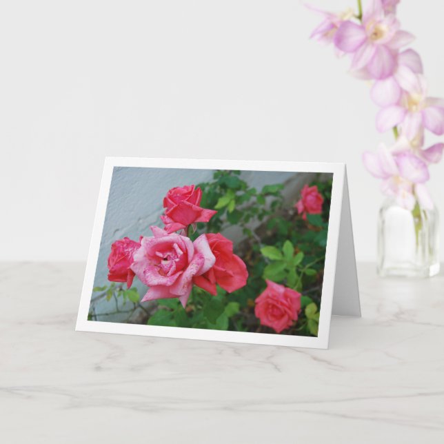 Roses Blumenportrait Karte (Orchidee)