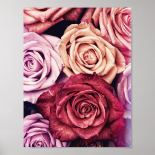 Roses Bouquet Foto Poster