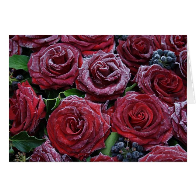 Roses congelés (Devant horizontal)