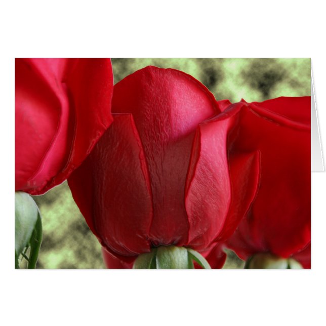 roses de bonbons (Devant horizontal)