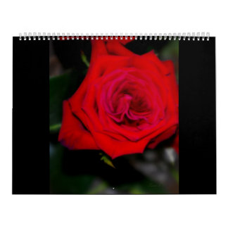 ROSES de calendrier