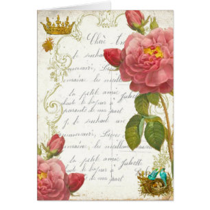 Roses de jardin de Versailles Marie Antoinette